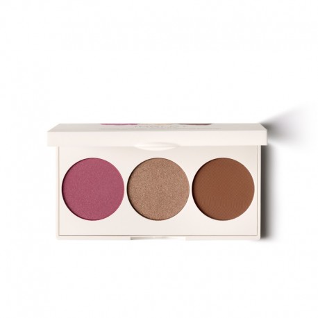 INGLOT PLAYINN SUNSET CHEEKS! Face Makeup Palette