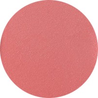 thumbnail Stick Blush Crémeux DELICATE CORAL 210