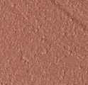 Rouge à Lèvres Creamy Soft WARM CARAMEL 502