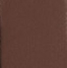 thumbnail Stick Bronzer crémeux  INTENSE BROWN 115